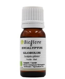 Eucalyptus globulus
